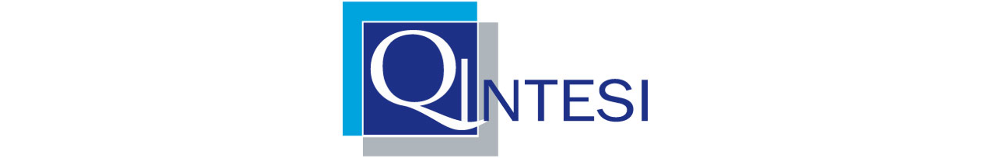 Logo QINTESI_S.P.A.