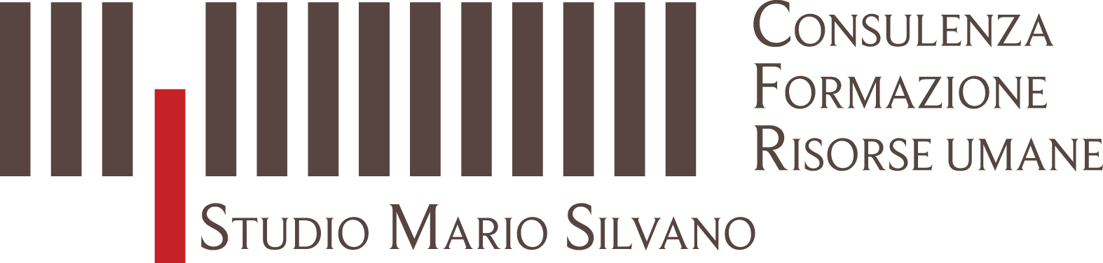 Logo STUDIO MARIO SILVANO Srl