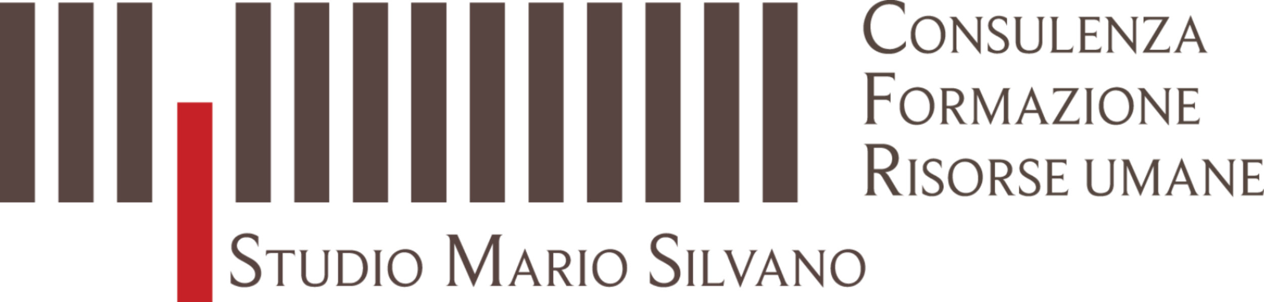 Logo STUDIO MARIO SILVANO Srl