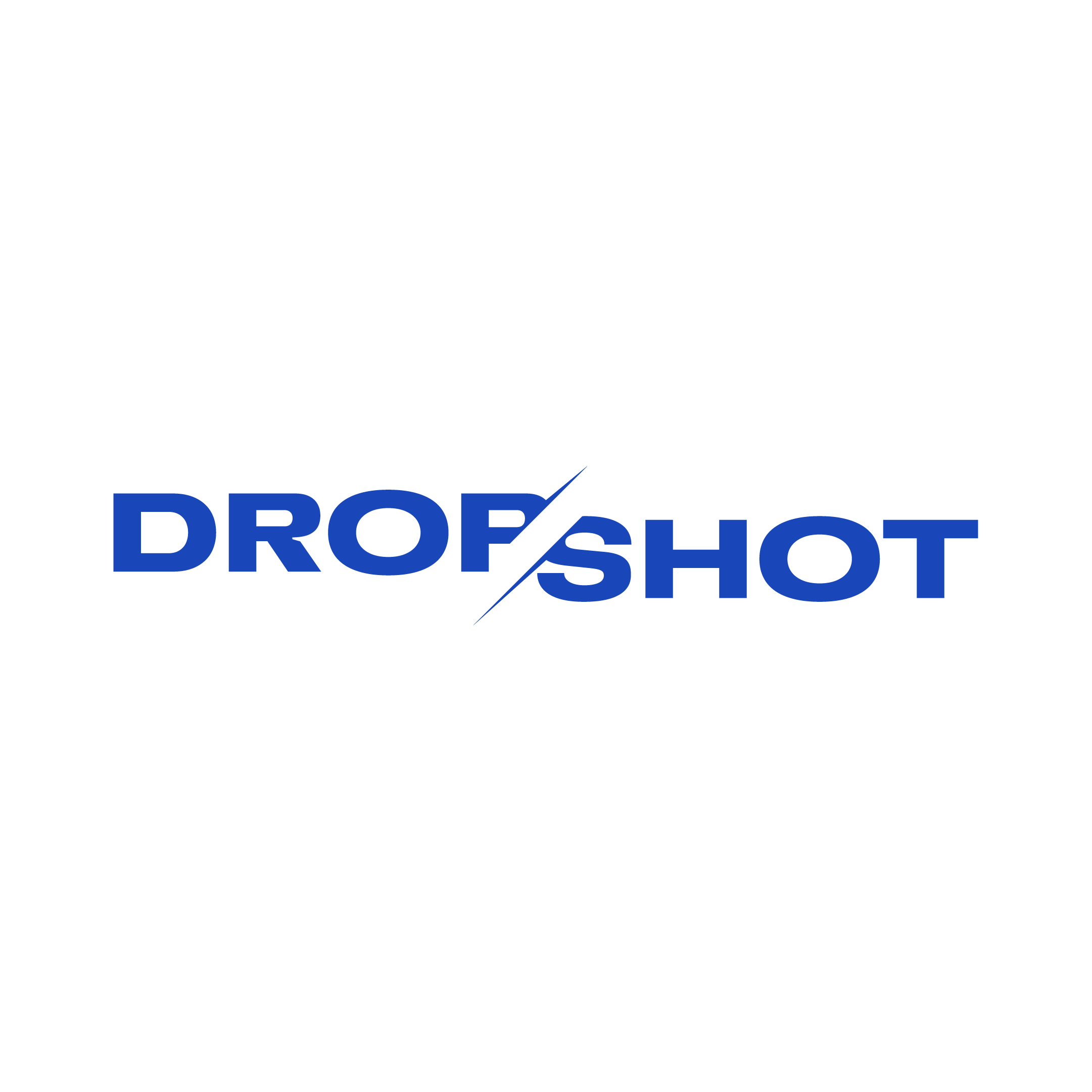 Logo DROP SHOT SRL