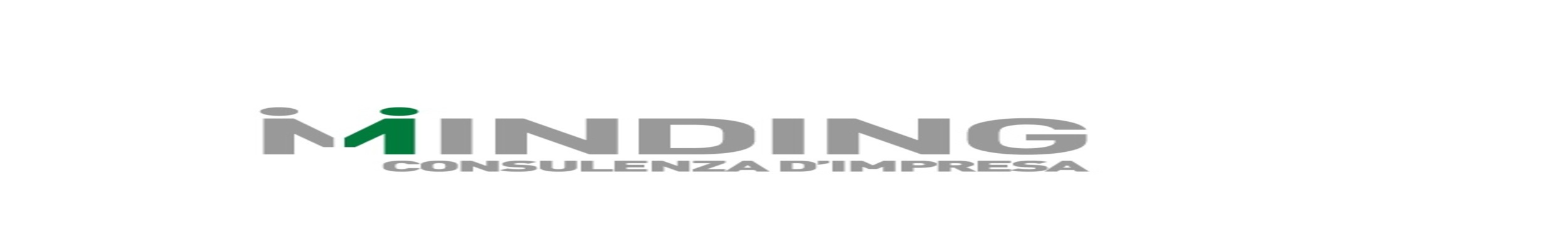 Logo MINDING SRL