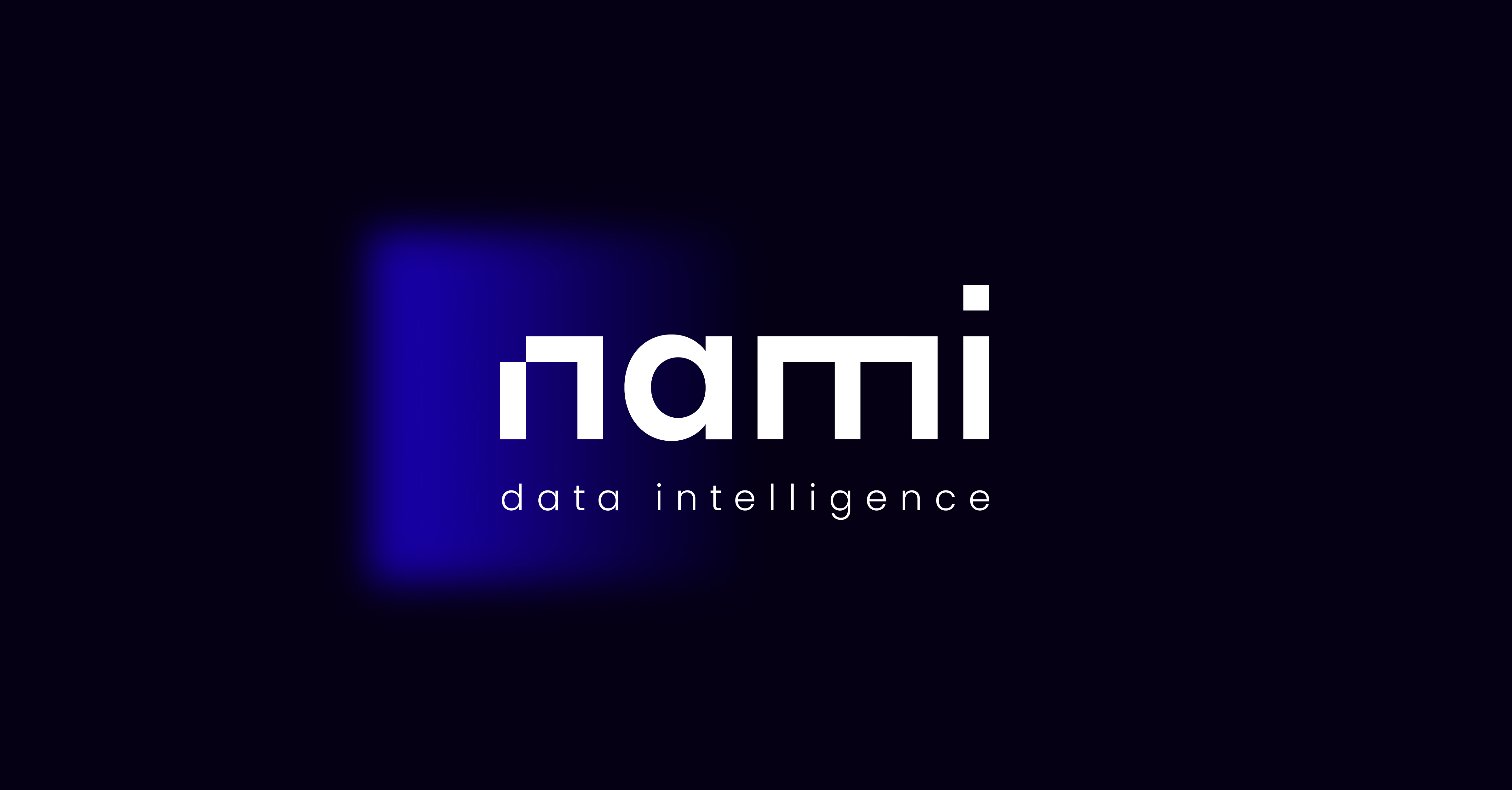 Logo NAMI CONSULTING