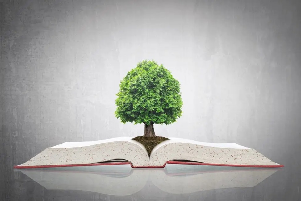 Immagine Newsletter